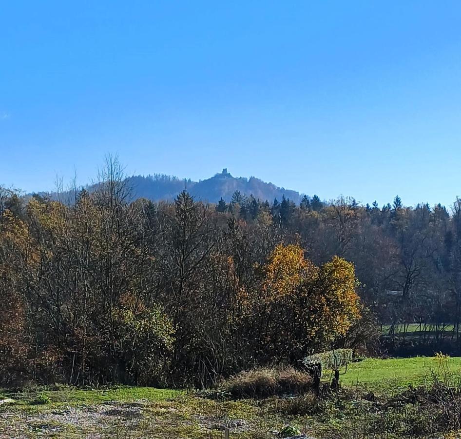Apartmaji Stars Mavcice Bagian luar foto