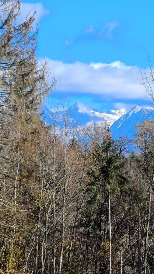 Apartmaji Stars Mavcice Bagian luar foto